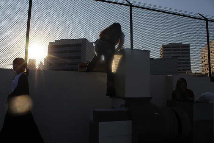 the summer that fled